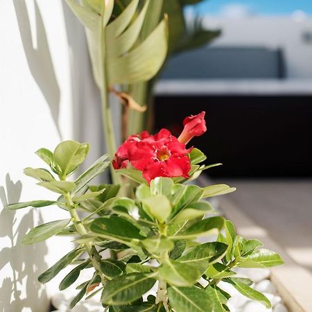 Villa Palmera Jacuzzi Yaiza  Dış mekan fotoğraf