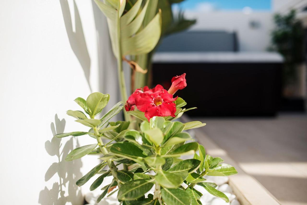 Villa Palmera Jacuzzi Yaiza  Dış mekan fotoğraf